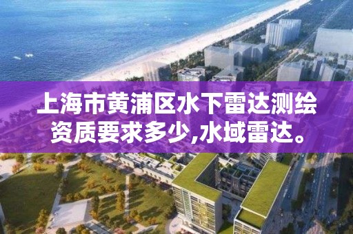 上海市黄浦区水下雷达测绘资质要求多少,水域雷达。