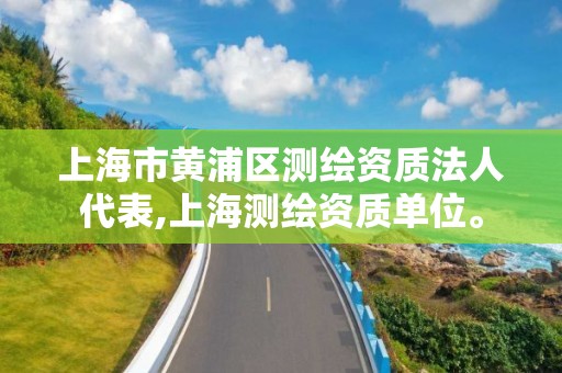 上海市黄浦区测绘资质法人代表,上海测绘资质单位。