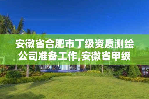 安徽省合肥市丁级资质测绘公司准备工作,安徽省甲级单位。