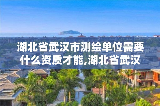 湖北省武汉市测绘单位需要什么资质才能,湖北省武汉市测绘单位需要什么资质才能进。