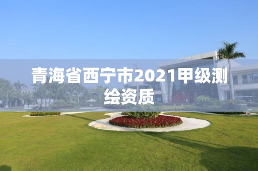 青海省西宁市2021甲级测绘资质