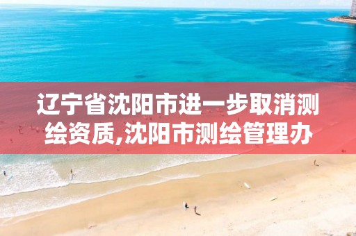 辽宁省沈阳市进一步取消,沈阳市测绘管理办公室。