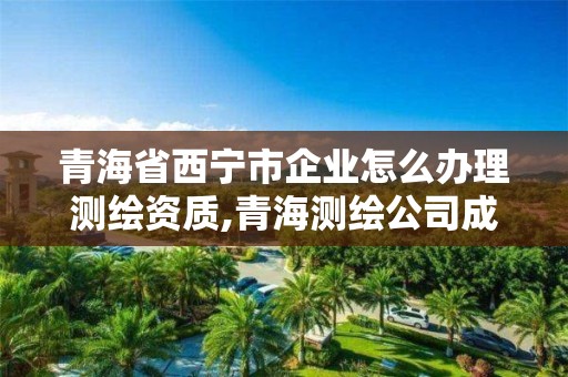 青海省西宁市企业怎么办理测绘资质,青海测绘公司成员名单。