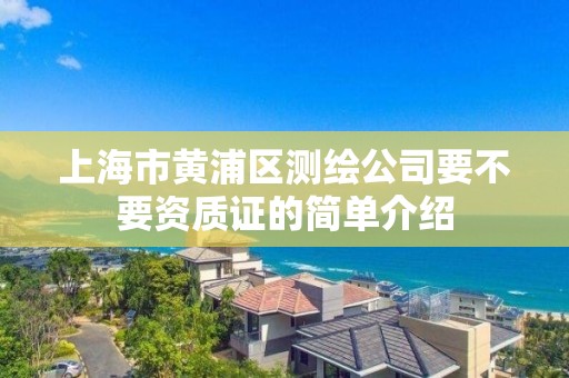 上海市黄浦区测绘公司要不要资质证的简单介绍