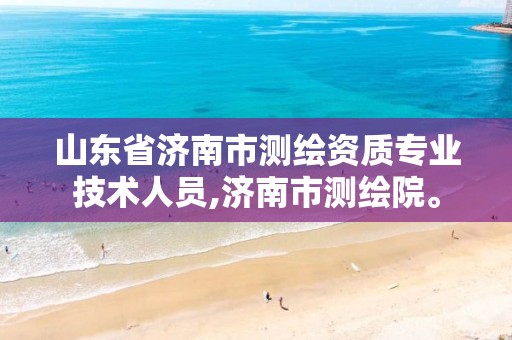 山东省济南市测绘资质专业技术人员,济南市测绘院。