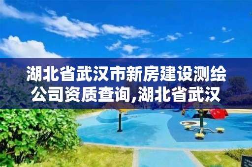 湖北省武汉市新房建设测绘公司资质查询,湖北省武汉市新房建设测绘公司资质查询电话。