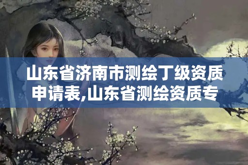 山东省济南市测绘丁级资质申请表,山东省专用章 丁级。