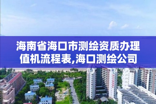 海南省海口市办理值机流程表,海口测绘公司招聘。