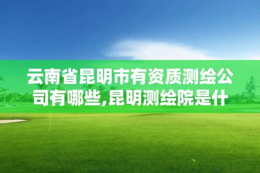 云南省昆明市有资质测绘公司有哪些,昆明测绘院是什么单位。