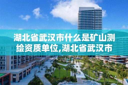 湖北省武汉市什么是矿山单位。