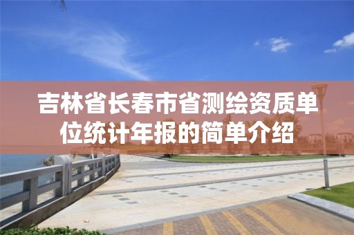 吉林省长春市省单位统计年报的简单介绍