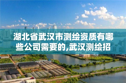 湖北省武汉市测绘资质有哪些公司需要的,武汉测绘招聘信息。