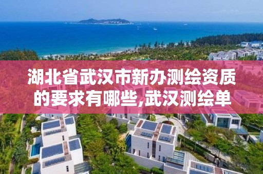 湖北省武汉市新办测绘资质的要求有哪些,武汉测绘单位。