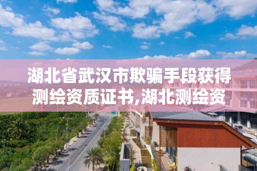 湖北省武汉市欺骗手段获得查询。