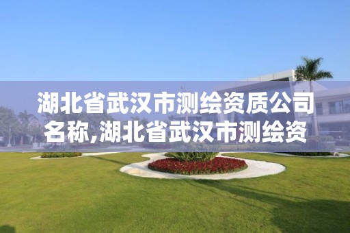 湖北省武汉市测绘资质公司名称,湖北省武汉市测绘资质公司名称是什么。