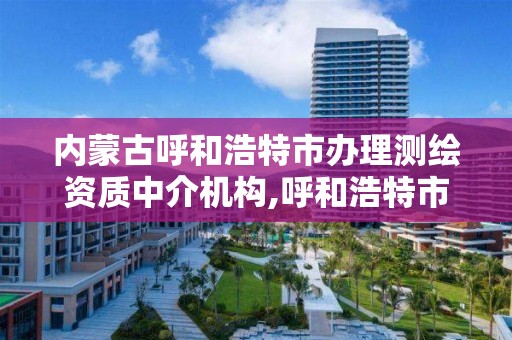 内蒙古呼和浩特市办理中介机构,呼和浩特市测绘公司。