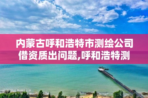 内蒙古呼和浩特市测绘公司借资质出问题,呼和浩特测绘仪器店。