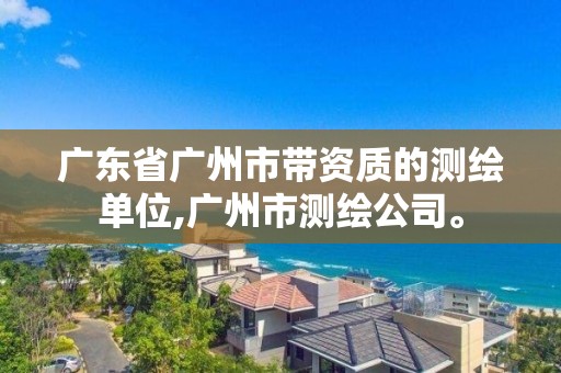 广东省广州市带资质的测绘单位,广州市测绘公司。