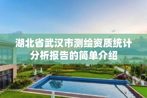 湖北省武汉市测绘资质统计分析报告的简单介绍