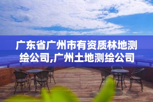 广东省广州市有资质林地测绘公司,广州土地测绘公司。