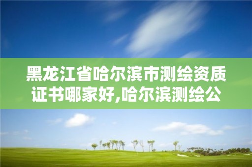 黑龙江省哈尔滨市测绘资质证书哪家好,哈尔滨测绘公司哪家好。