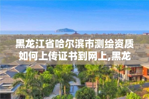 黑龙江省哈尔滨市如何上传证书到网上,黑龙江注册测绘师。