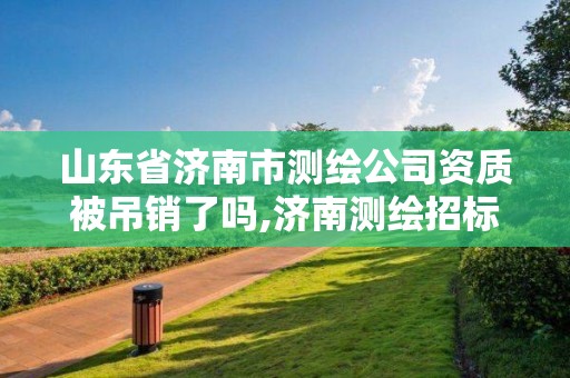 山东省济南市测绘公司资质被吊销了吗,济南测绘招标。