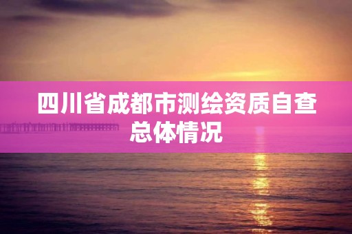 四川省成都市测绘资质自查总体情况