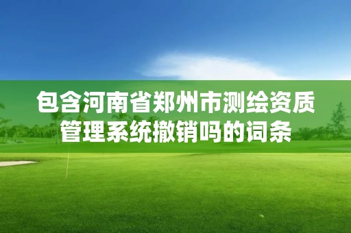 包含河南省郑州市测绘资质管理系统撤销吗的词条