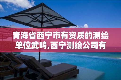 青海省西宁市有资质的测绘单位武鸣,西宁测绘公司有哪些。