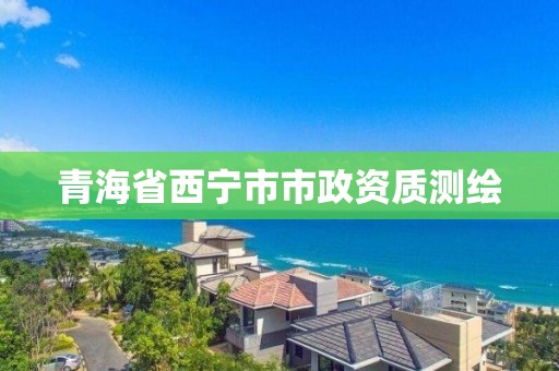 青海省西宁市市政资质测绘