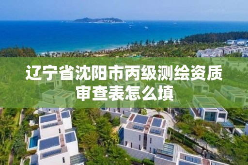 辽宁省沈阳市丙级测绘资质审查表怎么填