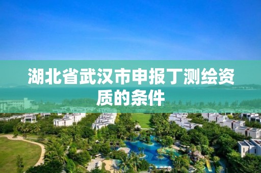 湖北省武汉市申报丁测绘资质的条件