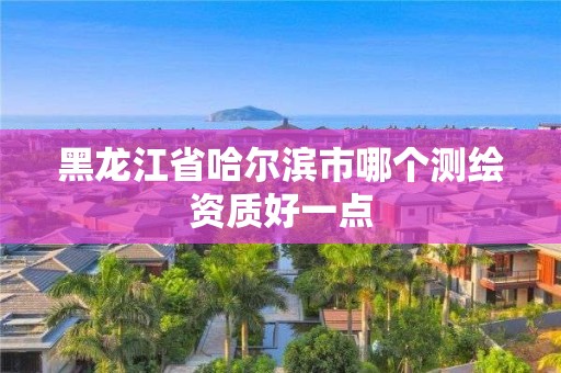 黑龙江省哈尔滨市哪个测绘资质好一点