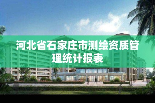 河北省石家庄市测绘资质管理统计报表