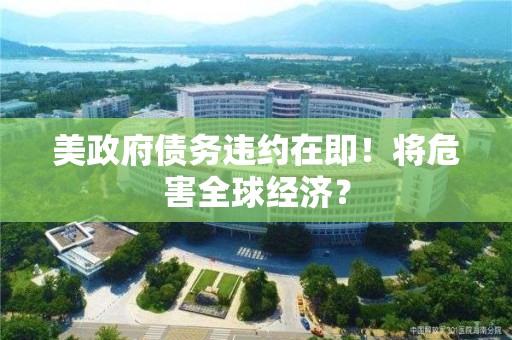 美政府债务违约在即！将危害全球经济？