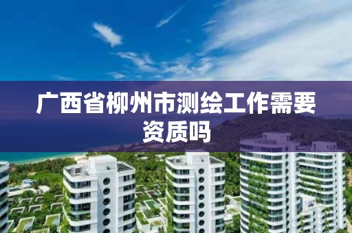 广西省柳州市测绘工作需要资质吗