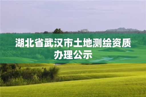 湖北省武汉市土地测绘资质办理公示