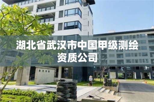 湖北省武汉市中国甲级测绘资质公司