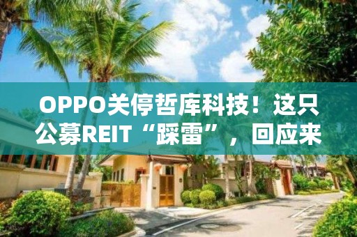 OPPO关停哲库科技！这只公募REIT“踩雷”，回应来了