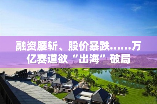 融资腰斩、股价暴跌……万亿赛道欲“出海”破局