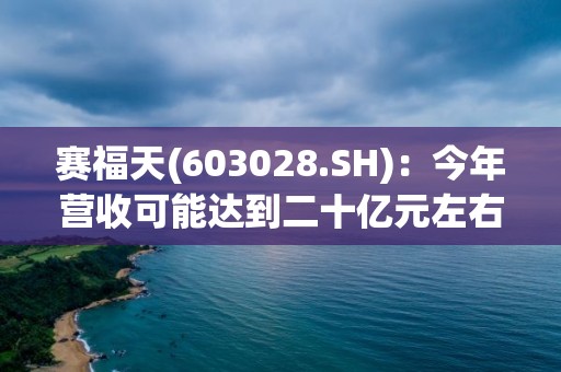 赛福天(603028.SH)：今年营收可能达到二十亿元左右