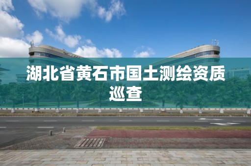 湖北省黄石市国土测绘资质巡查