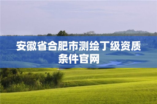 安徽省合肥市测绘丁级资质条件官网