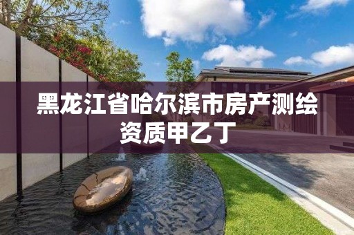 黑龙江省哈尔滨市房产测绘资质甲乙丁