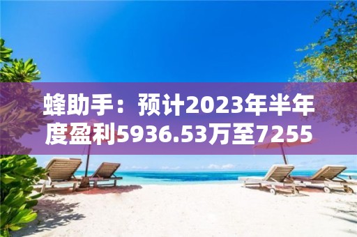 蜂助手：预计2023年半年度盈利5936.53万至7255.75万 净利润同比增长15.63%至41.32%