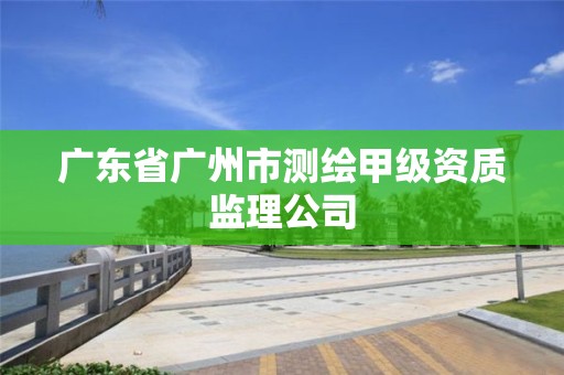 广东省广州市测绘甲级资质监理公司