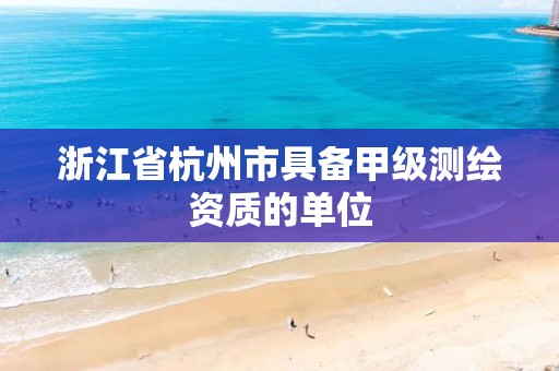 浙江省杭州市具备甲级测绘资质的单位