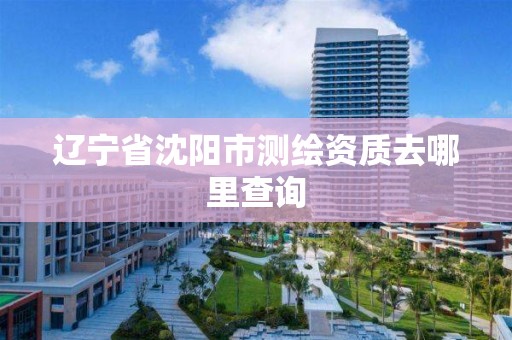 辽宁省沈阳市测绘资质去哪里查询