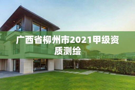 广西省柳州市2021甲级资质测绘